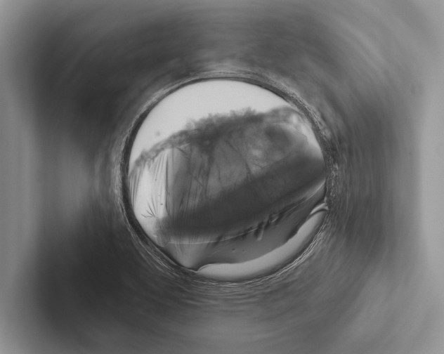 X0000102541463200809051523