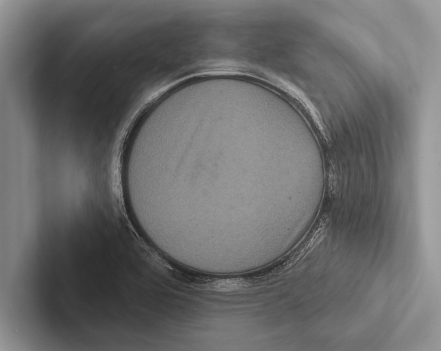 X0000102541464200809051523