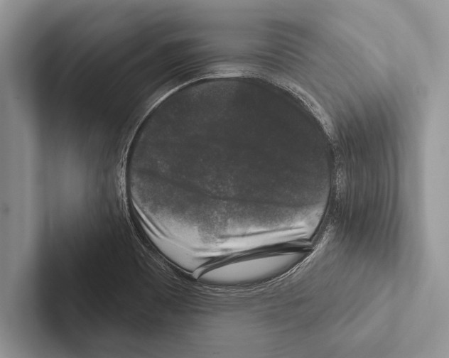 X0000102541465200809051523