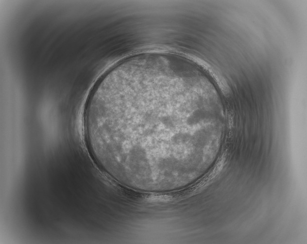 X0000102541466200809051523