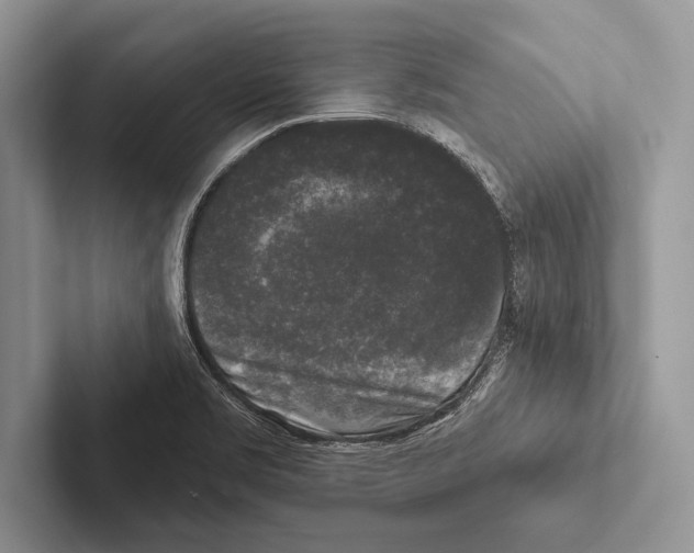 X0000102541469200809051523