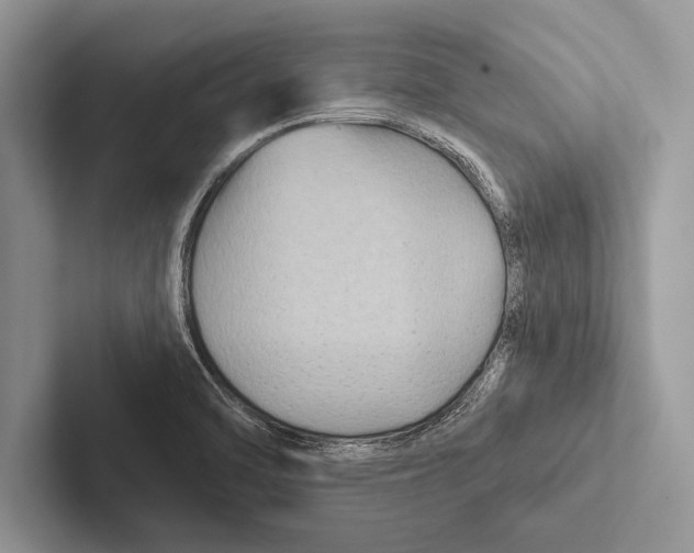 X0000102541470200809051523