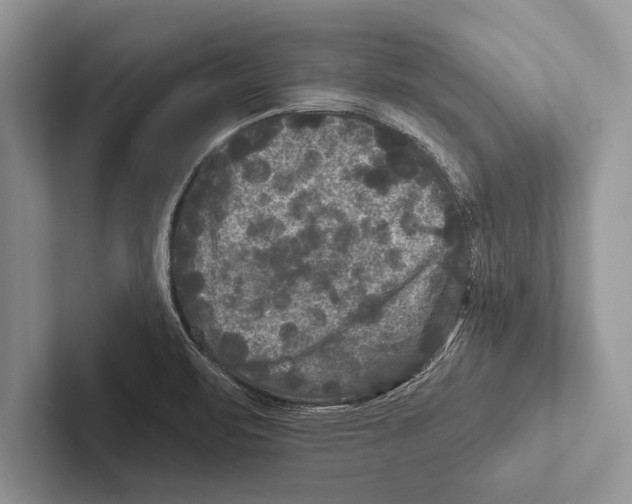 X0000102541471200809051523