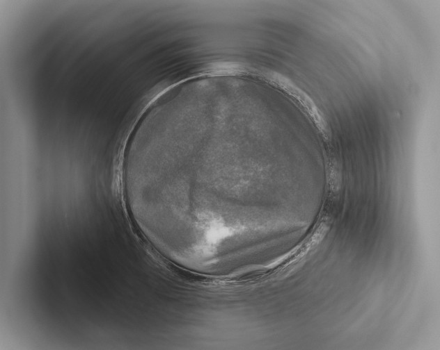 X0000102541473200809051523