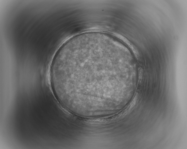 X0000102541474200809051522