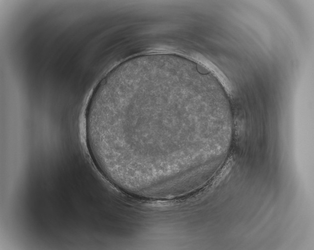 X0000102541476200809051522