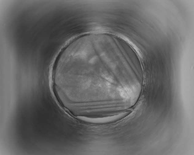 X0000102541477200809051522