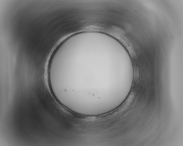 X0000102541478200809051522