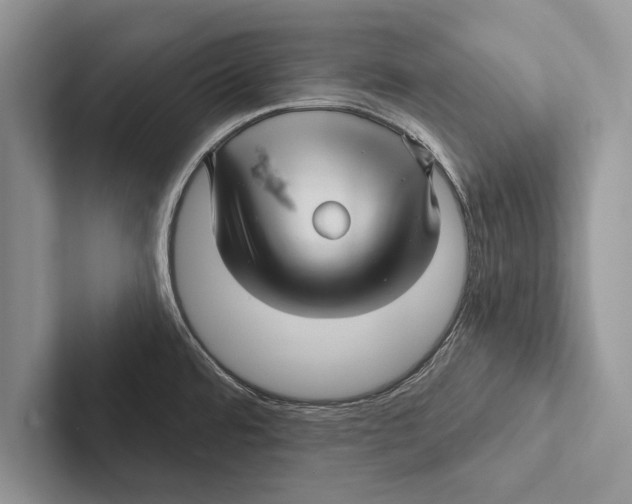 X0000102541480200809051522