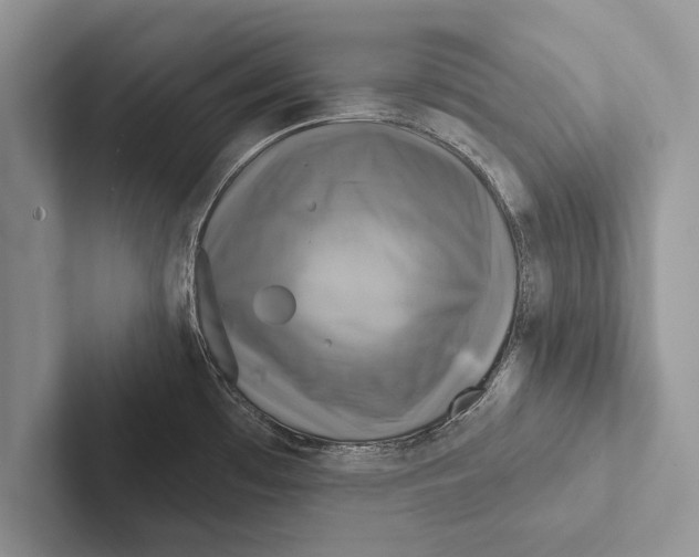 X0000102541481200809051522