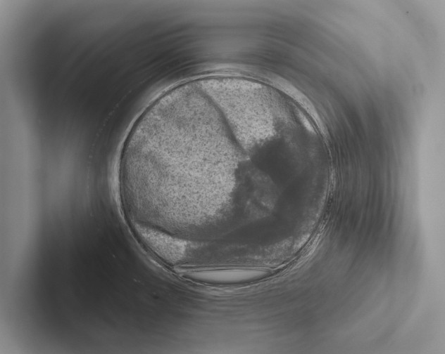 X0000102541482200809051522