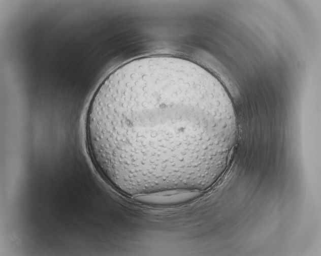 X0000102541483200809051522