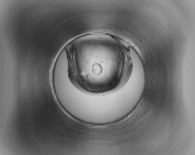 X0000102541484200809051522