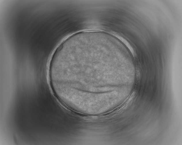 X0000102541485200809051522