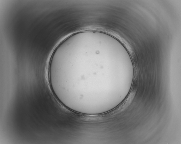 X0000102541486200809051522