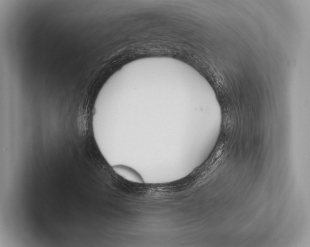 X0000102541490200809051522