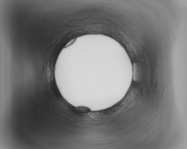 X0000102541491200809051522