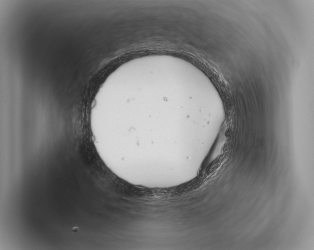 X0000102541494200809051522