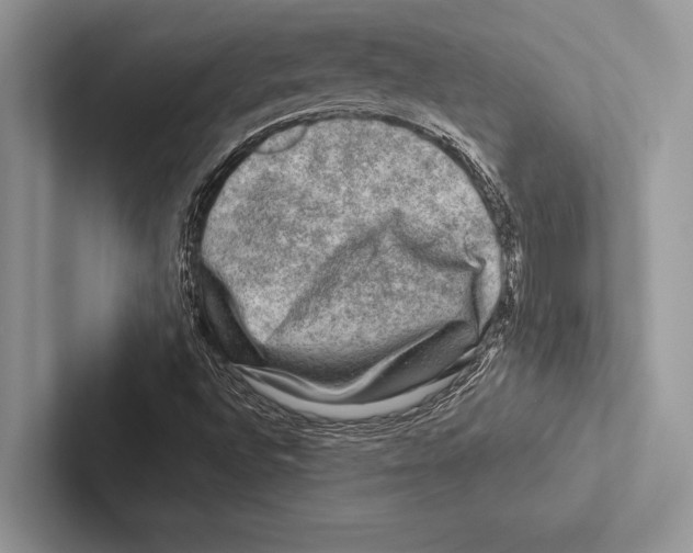 X0000102541496200809051522