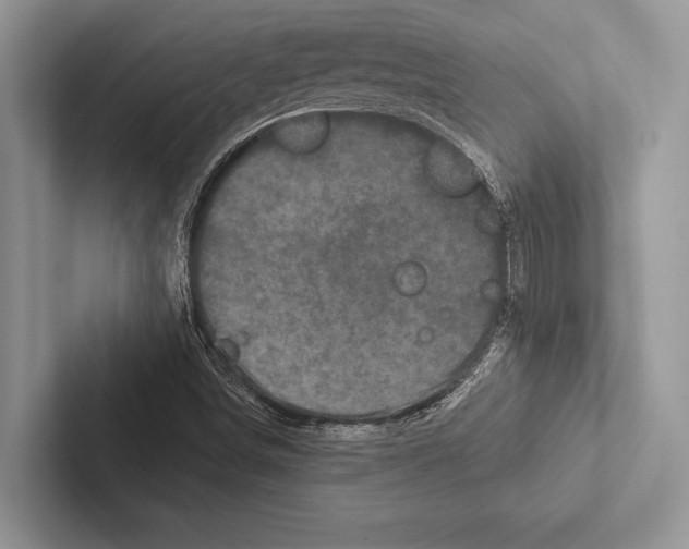 X0000102541498200809051522