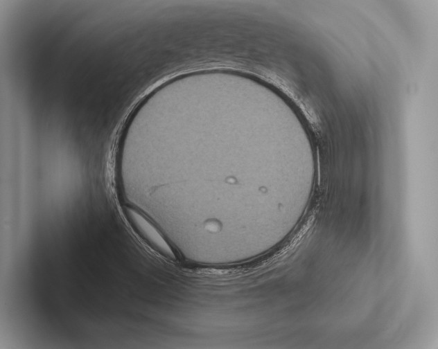 X0000102541500200809051522