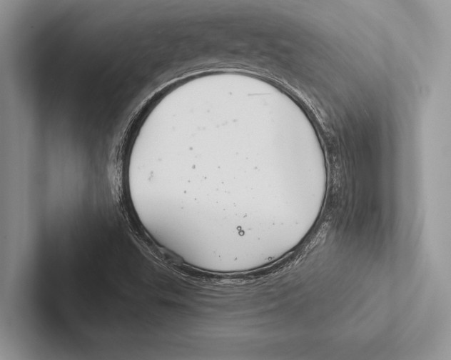 X0000102541503200809051522