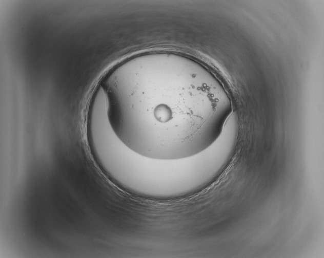 X0000102541504200809051522