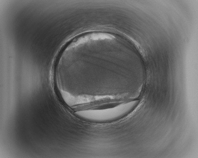 X0000102541506200809051522