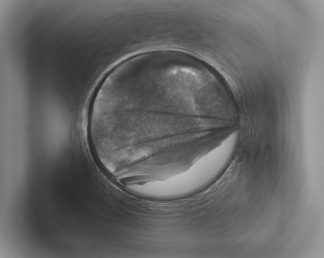 X0000102541508200809051522