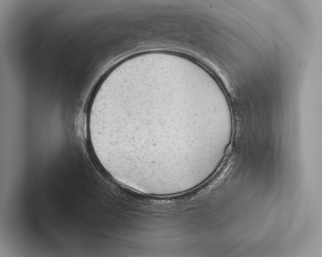 X0000102541509200809051522