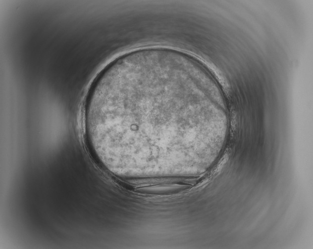 X0000102541510200809051522