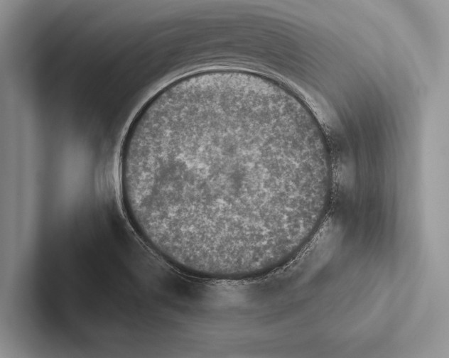 X0000102541514200809051522