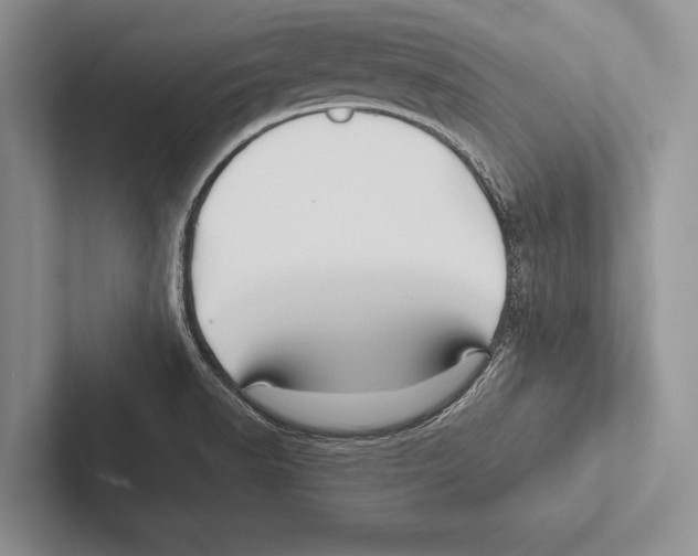 X0000102541518200809051522