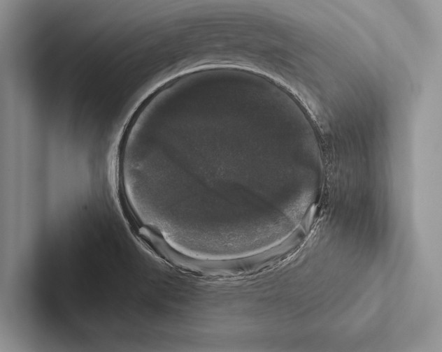 X0000102541519200809051522