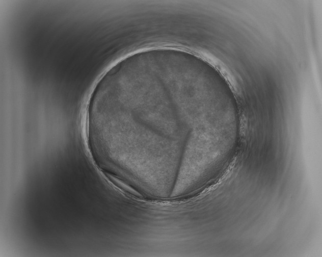 X0000102541520200809051522