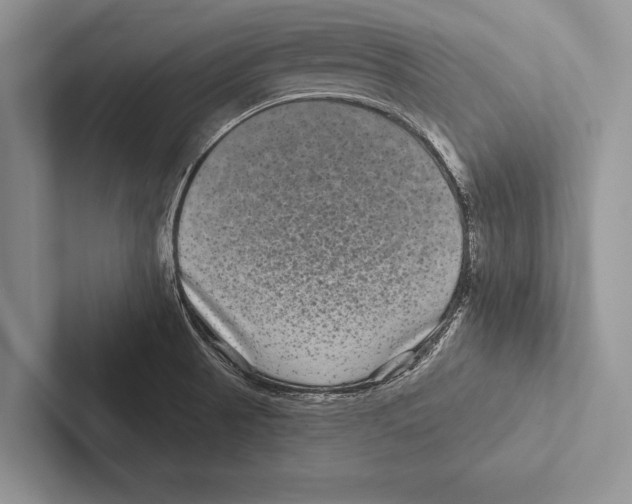 X0000102541521200809051522