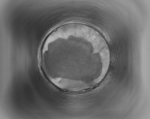 X0000102541522200809051522