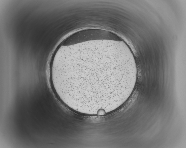 X0000102541523200809051522