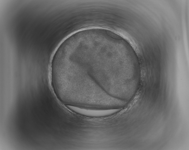 X0000102541524200809051522