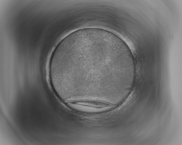 X0000102541525200809051522