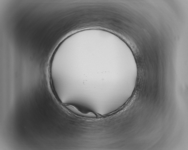 X0000102541526200809051522