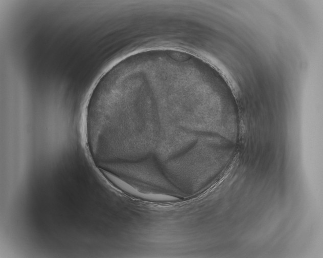 X0000102541528200809051522