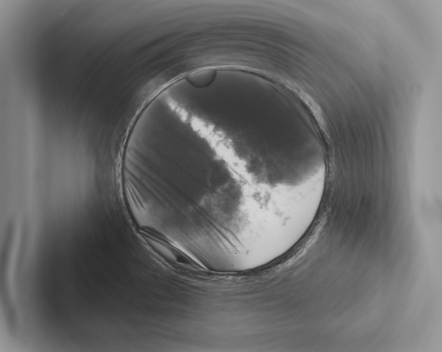 X0000102541529200809051522