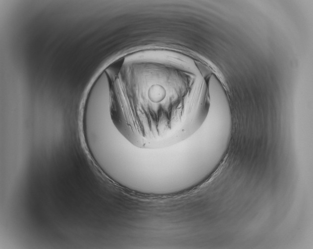 X0000102541530200809051522