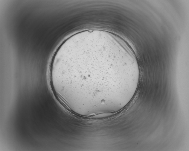 X0000102541531200809051522