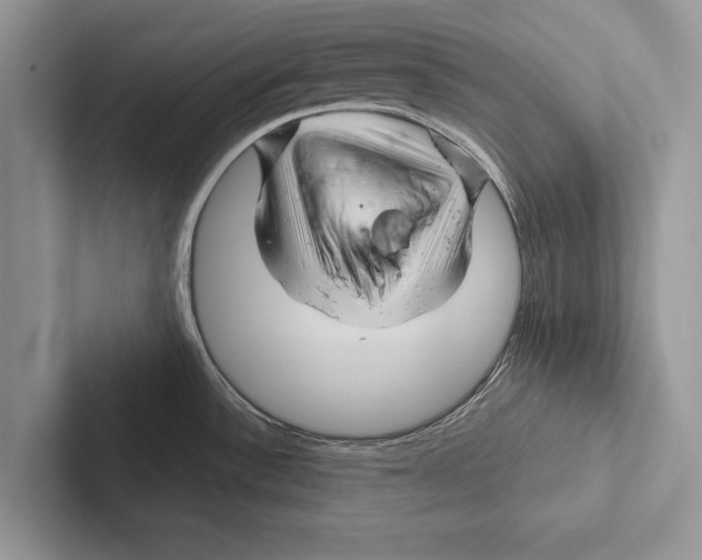 X0000102541532200809051522