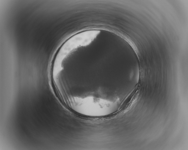 X0000102541533200809051522