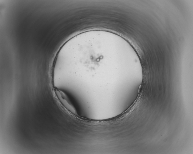 X0000102541534200809051522