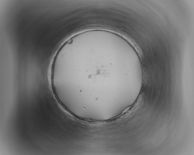 X0000102541535200809051522