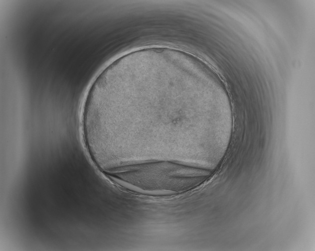 X0000102541536200809051522